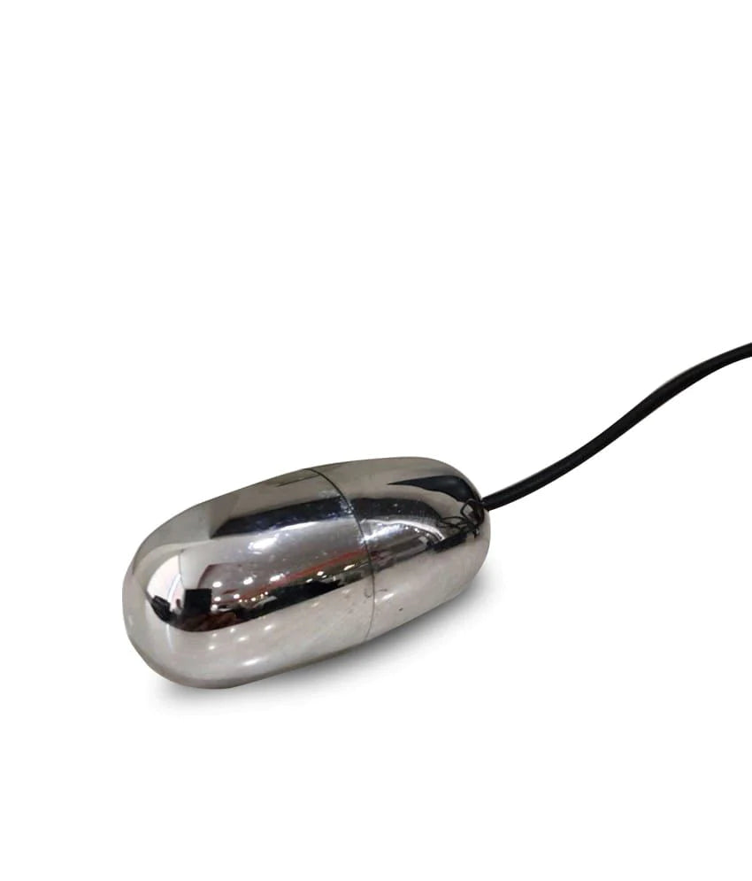 Shiny Steel 7 Inch Rod with Egg Vibrator