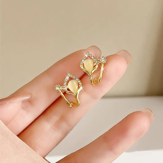 Elegant Korean Earnings